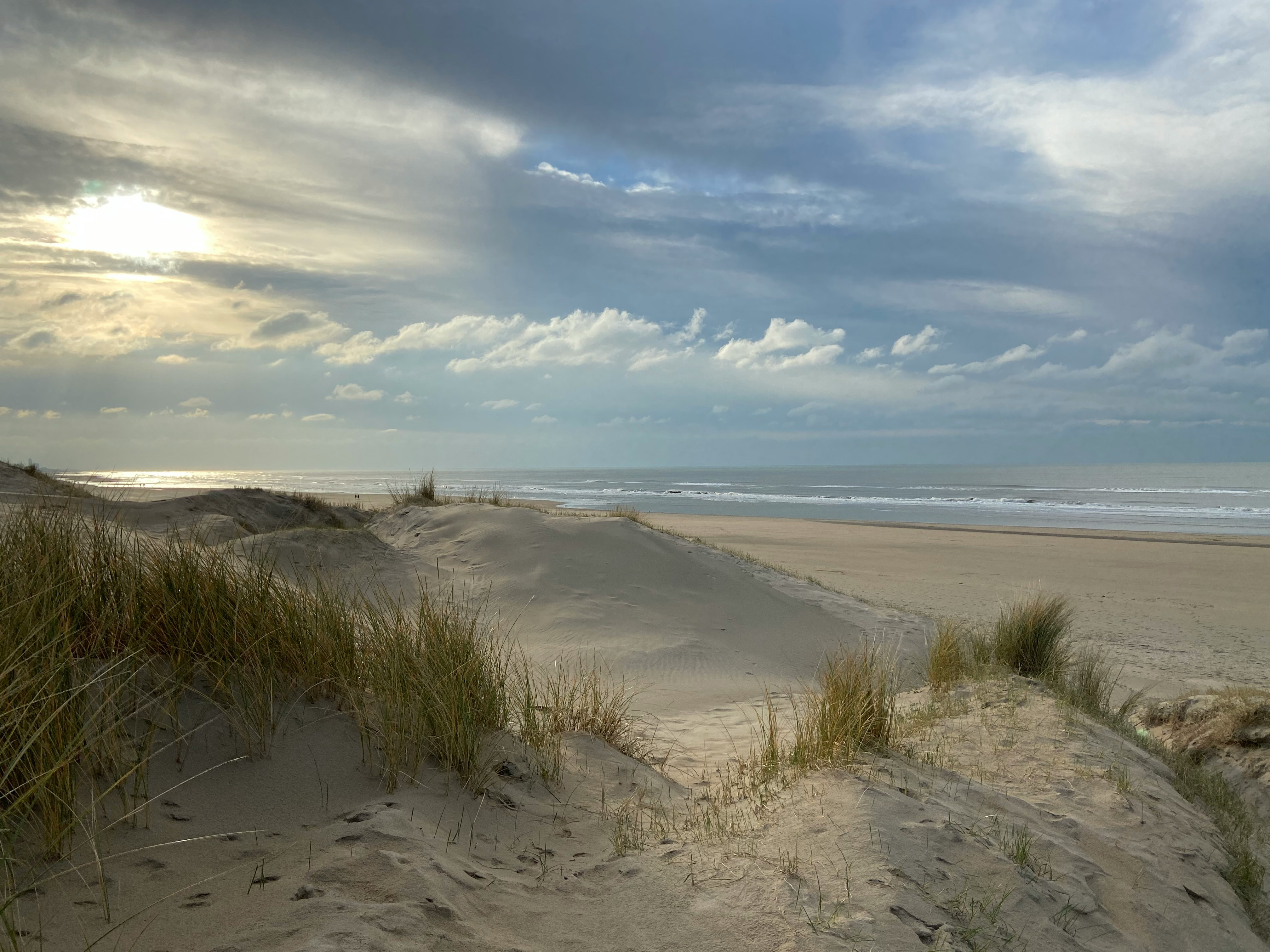 Adembenemende luchtfoto van een paradijselijk strand - Ontdek de schoonheid van de kust met BeachPilot